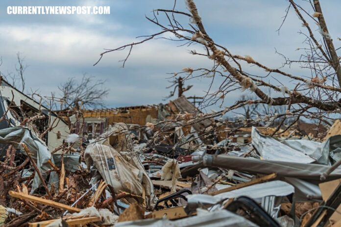 Winn-Dixie Rebuilds After Tornado Ravages New Orleans