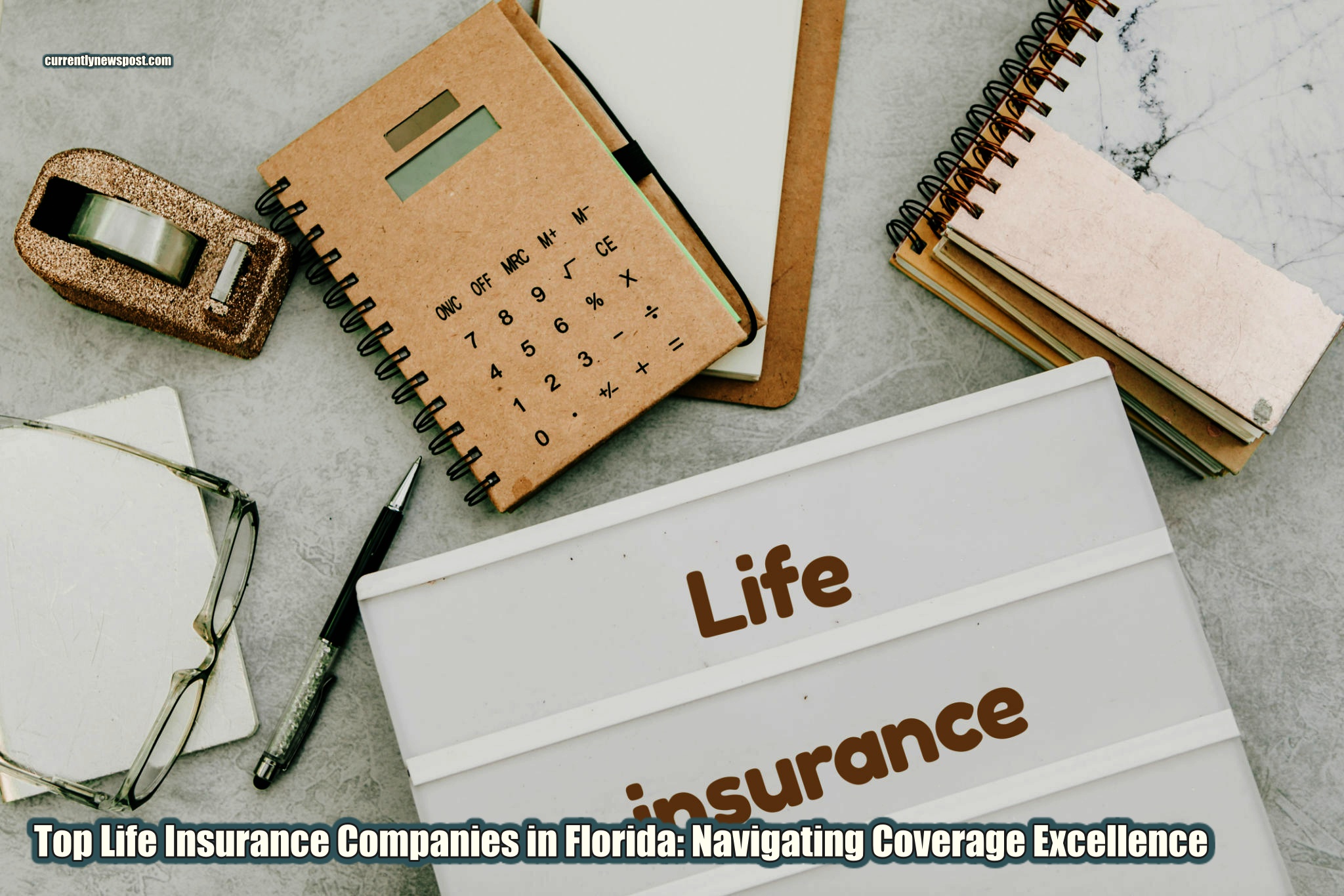 Top Life Insurance Companies in Florida: Navigating Coverage Excellence