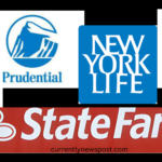 "Top 5 best Term Life Insurance Companies in the USA: Finding the Best Coverage for You"